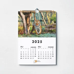 une image du calendrier annuel 2025 de Pawpaws Sanctuary